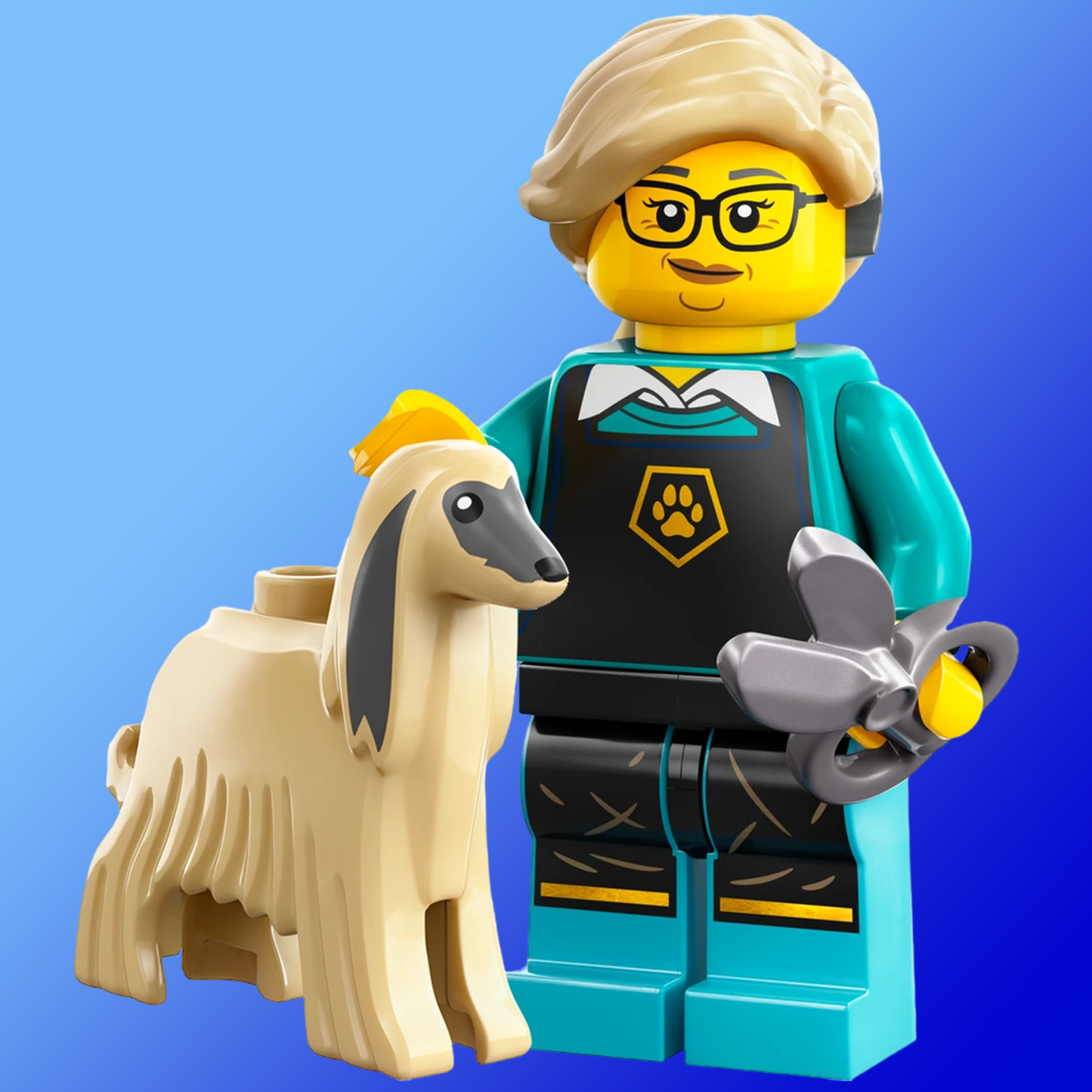 LEGO - Minifigures Series 25 - Pet Groomer - 71045